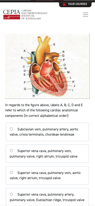 Lorem ipsum dolor sit amet consectetur.